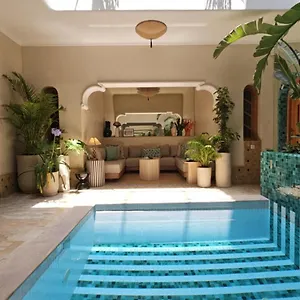Casa Felicita & Marrakesh